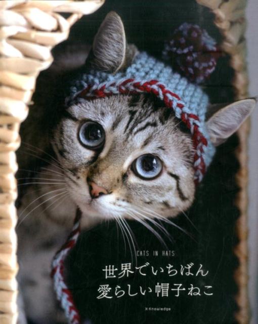 世界でいちばん愛らしい帽子ねこ