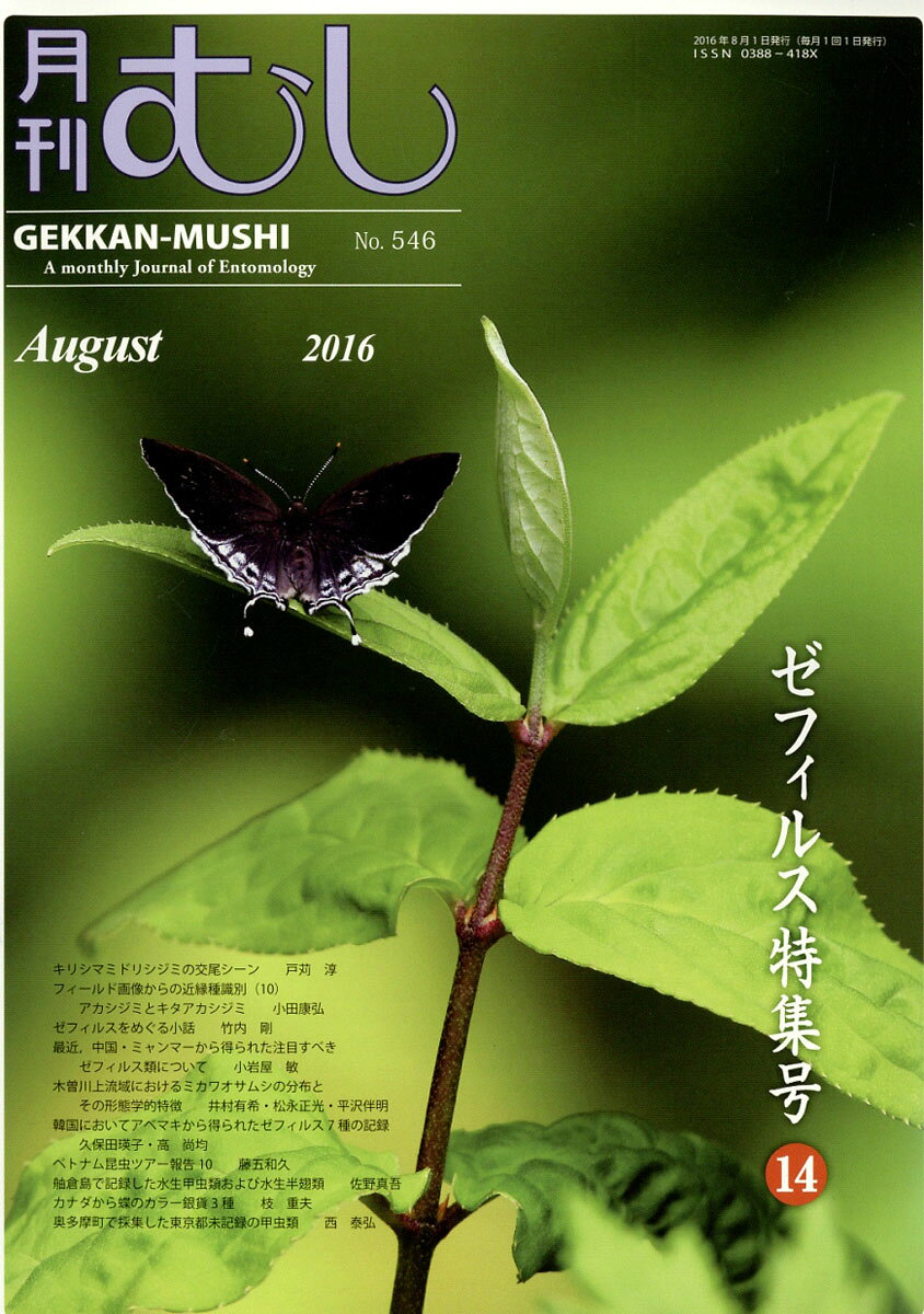 月刊 むし 2016年 08月号 [雑誌]