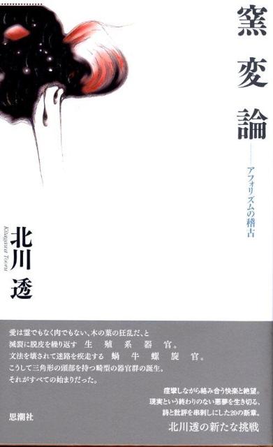 窯変論
