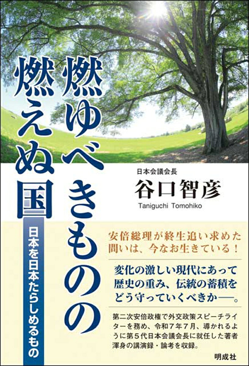 燃ゆべきものの燃えぬ国の表紙