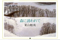 東山魁夷カレンダー森に誘われて（2009）