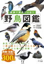 散歩や旅先で出会う野鳥図鑑 （だいわ文庫） 上田 恵介