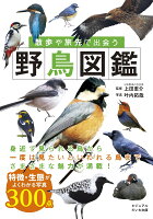 散歩や旅先で出会う野鳥図鑑