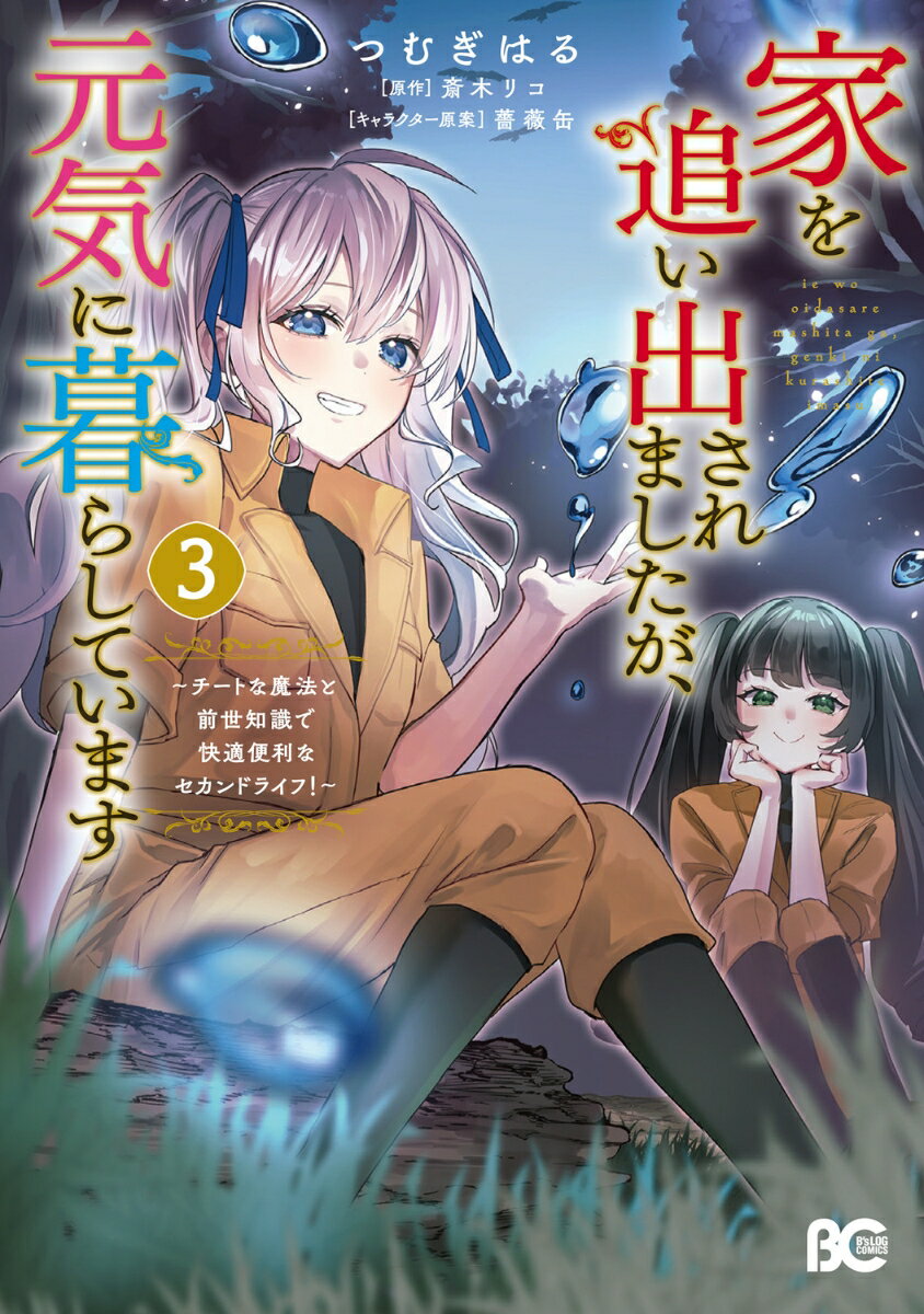 家を追い出されましたが、元気に暮らしています 〜チートな魔法と前世知識で快適便利なセカンドライフ！〜 3