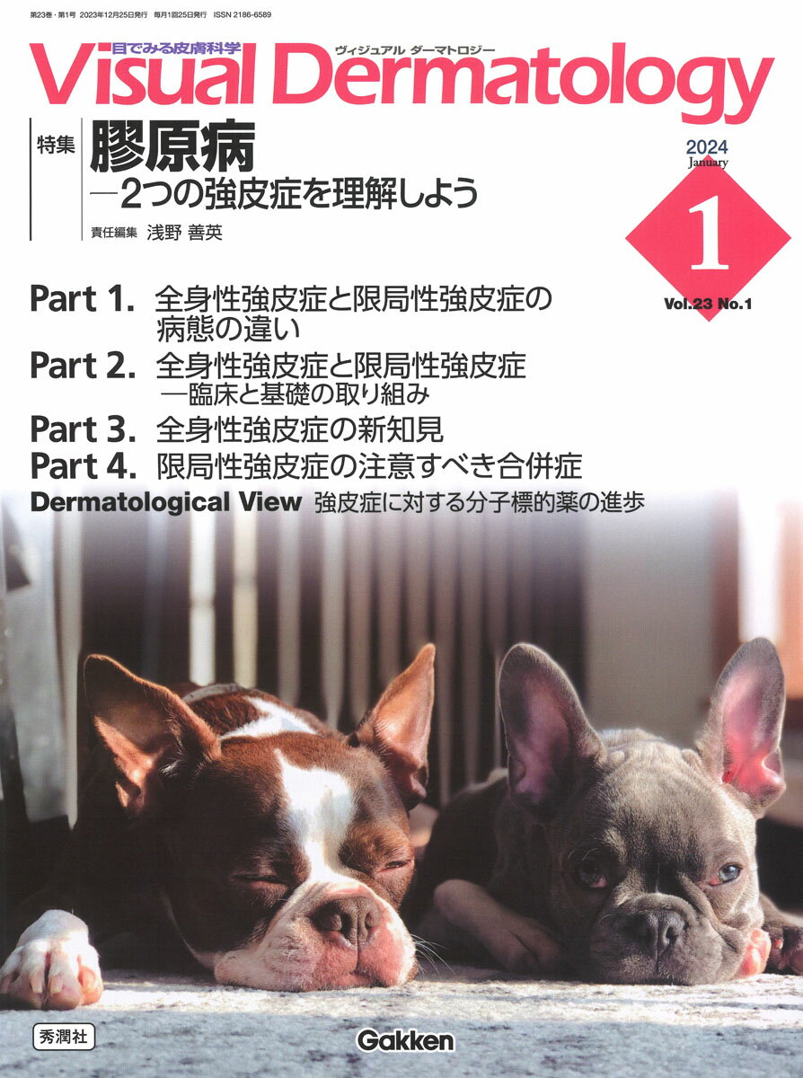 Visual　D．　2024年1月号　Vol．23　No．1 （Visual　Dermatology） [ ヴィジュアルダーマトロジー編集委員会 ]