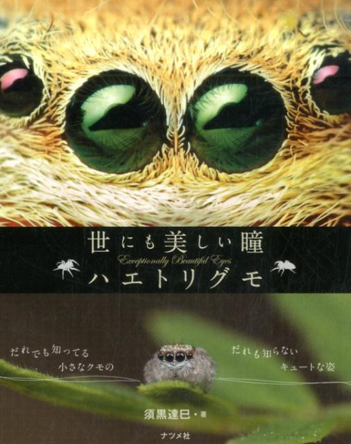 世にも美しい瞳　ハエトリグモ [ 須黒　達巳 ]