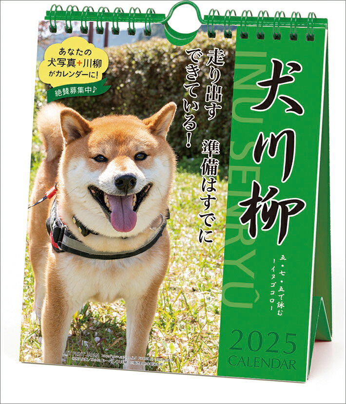 犬川柳 週めくり 卓上/壁掛（2025年1月始まりカレンダー）