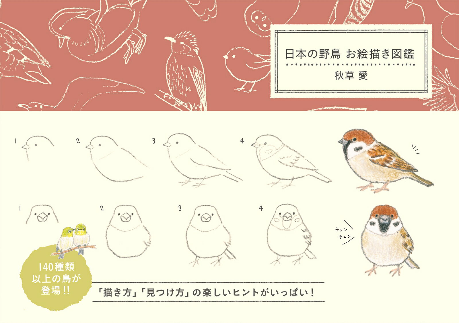 日本の野鳥 お絵描き図鑑