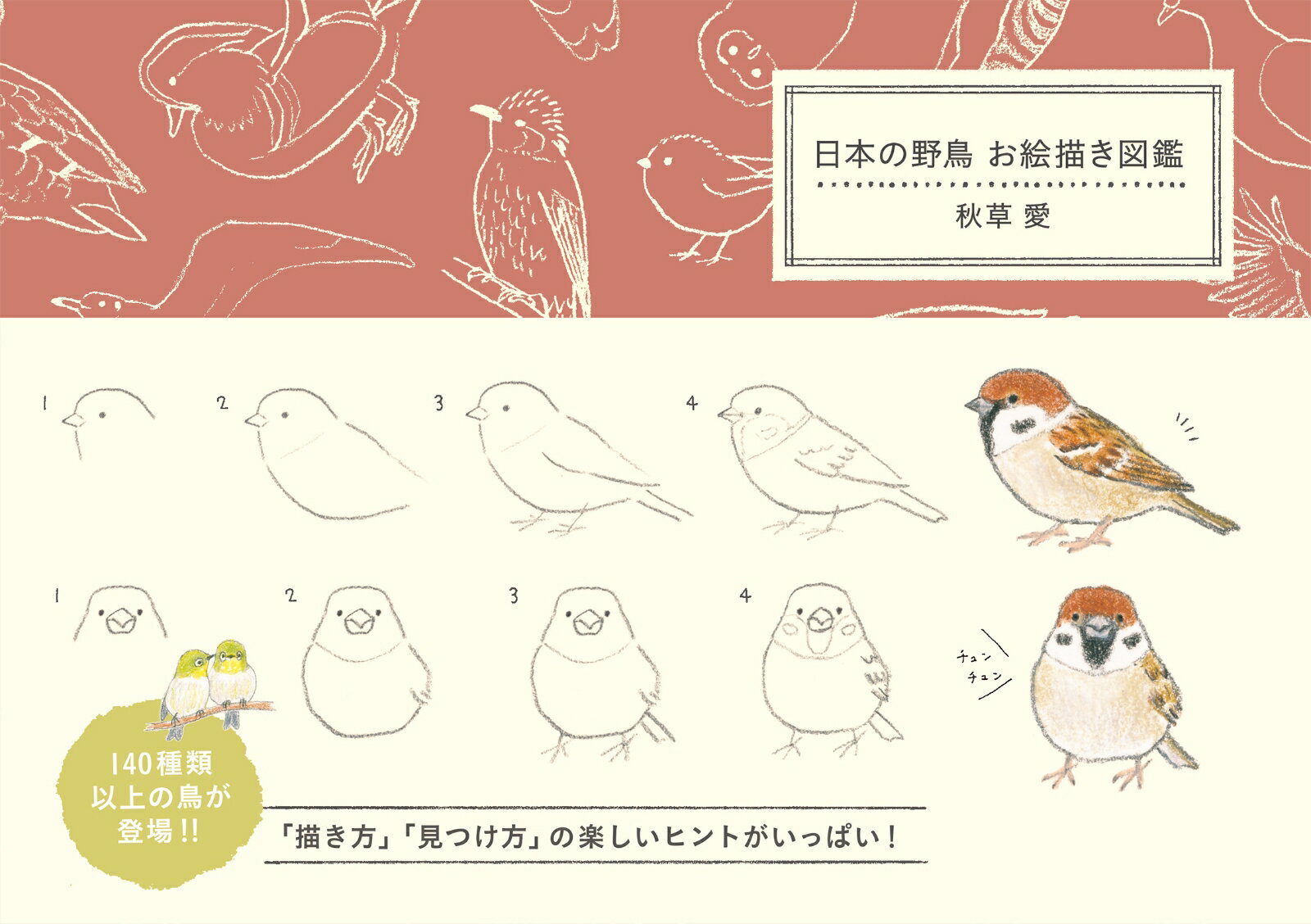 日本の野鳥 お絵描き図鑑