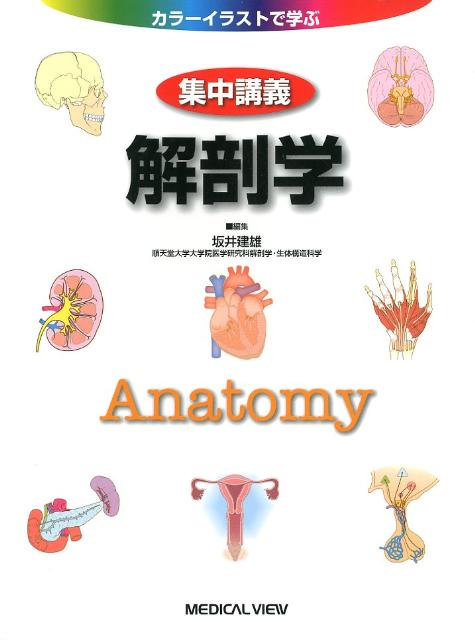 集中講義解剖学