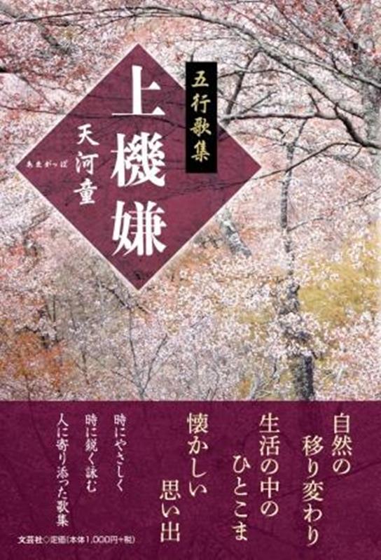 上機嫌 五行歌集 [ 天河童 ]