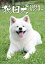 卓上 秋田犬(2019年1月始まりカレンダー) 1,404円