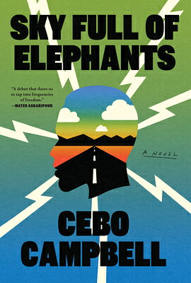 Sky Full of Elephants SKY FULL OF ELEPHANTS -LP 
