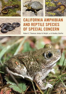California Amphibian and Reptile Species of Special Concern CALIFORNIA AMPHIBIAN & REPTILE [ Robert C. Thomson ]