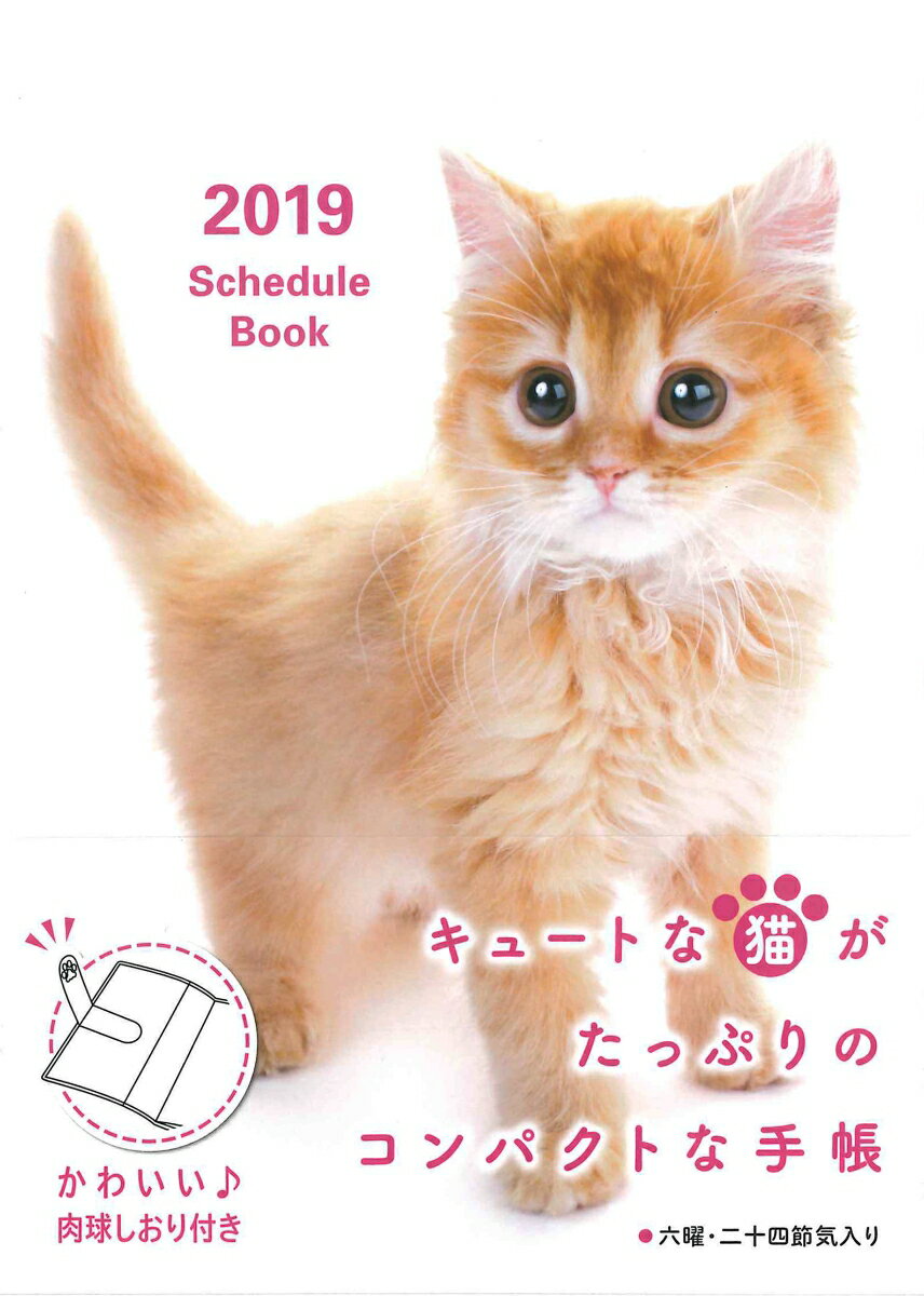 Schedule　Book　CAT（2019）