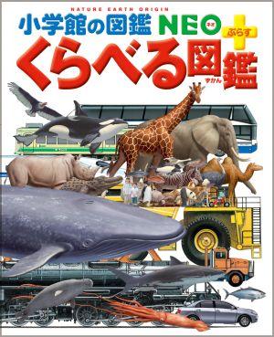 ����٤�޴�