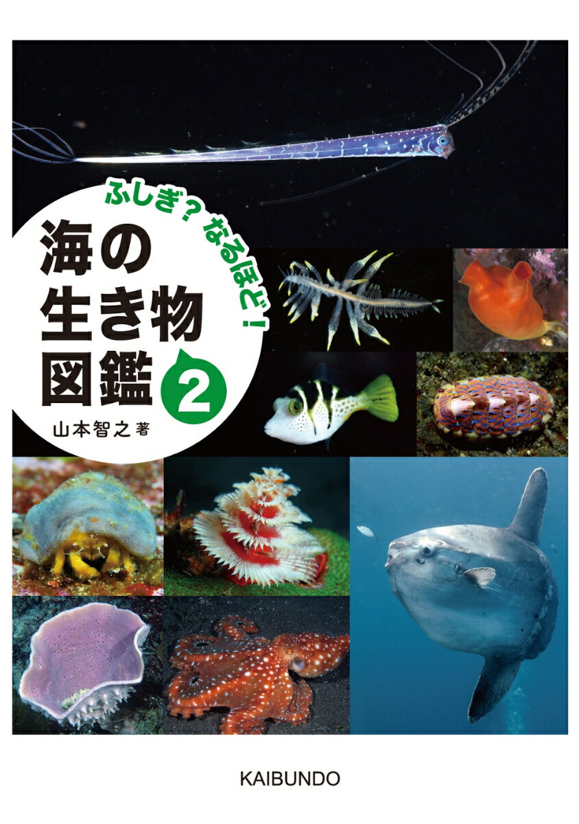 ふしぎ？なるほど！ 海の生き物図鑑2