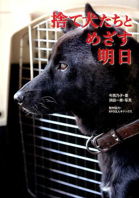 捨て犬たちとめざす明日 [ 今西 乃子 ]