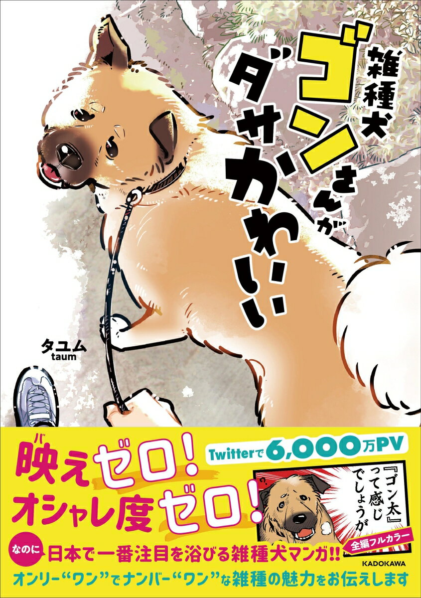 雑種犬ゴンさんがダサかわいいの表紙