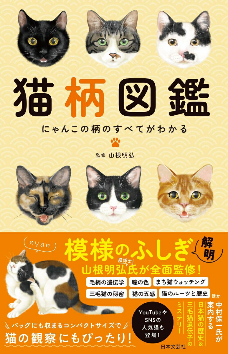 猫柄図鑑 にゃんこの柄のすべてがわかる [ 山根 明弘 ]