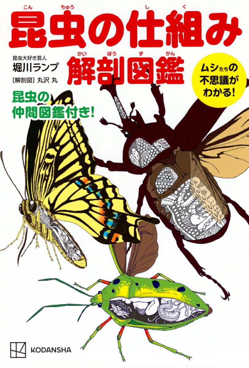 楽天市場】昆虫図鑑(科学・医学・技術|本・雑誌・コミック)の通販 楽天市場】昆虫図鑑(科学・医学・技術|本・雑誌・コミック)の通販