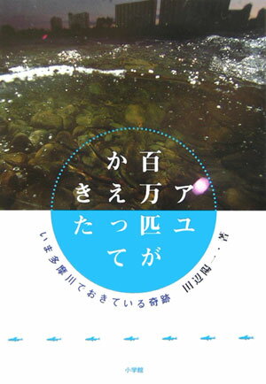 アユ百万匹がかえってきた