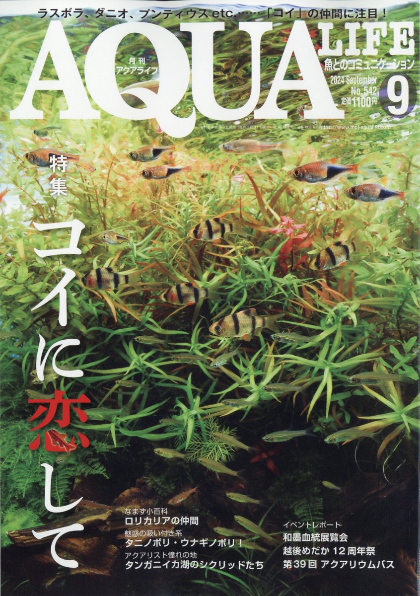 月刊 AQUA LIFE (アクアライフ) 2024年 9月号 [雑誌]