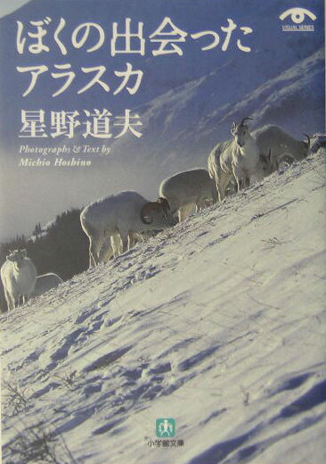 ぼくの出会ったアラスカ（小学館文庫） 