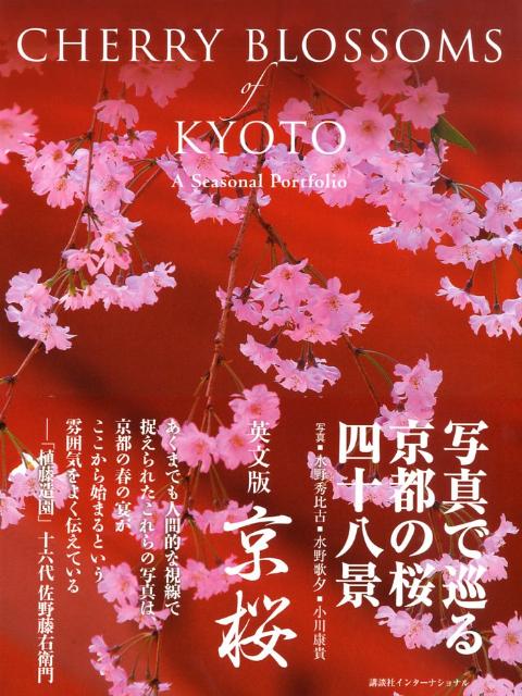 Cherry　blossoms　of　Kyoto