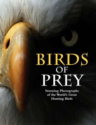 Birds of Prey: Stunning Photographs of the World's Great Hunting Birds BIRDS OF PREY [ Tom Jackson ]