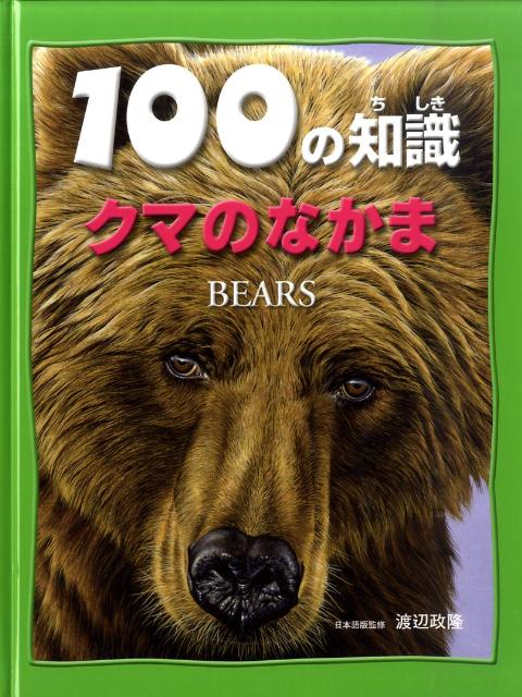 クマのなかま