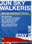 STAY BLUE ～ALL ABOUT 20th ANNIVERSARY～ [ JUN SKY WALKER(S) ]