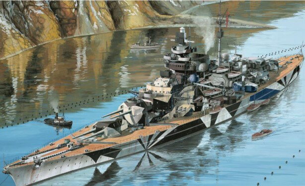 ビスマルク級戦艦の2番艦「テルピッツ」を1/350スケールで再現。
・デカール2種付属【対象年齢】：【商品サイズ (cm)】(幅）：71.7