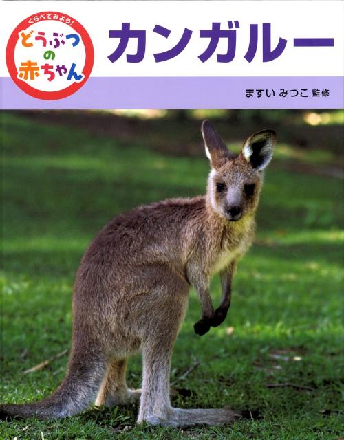 くらべてみよう！どうぶつの赤ちゃん（7）