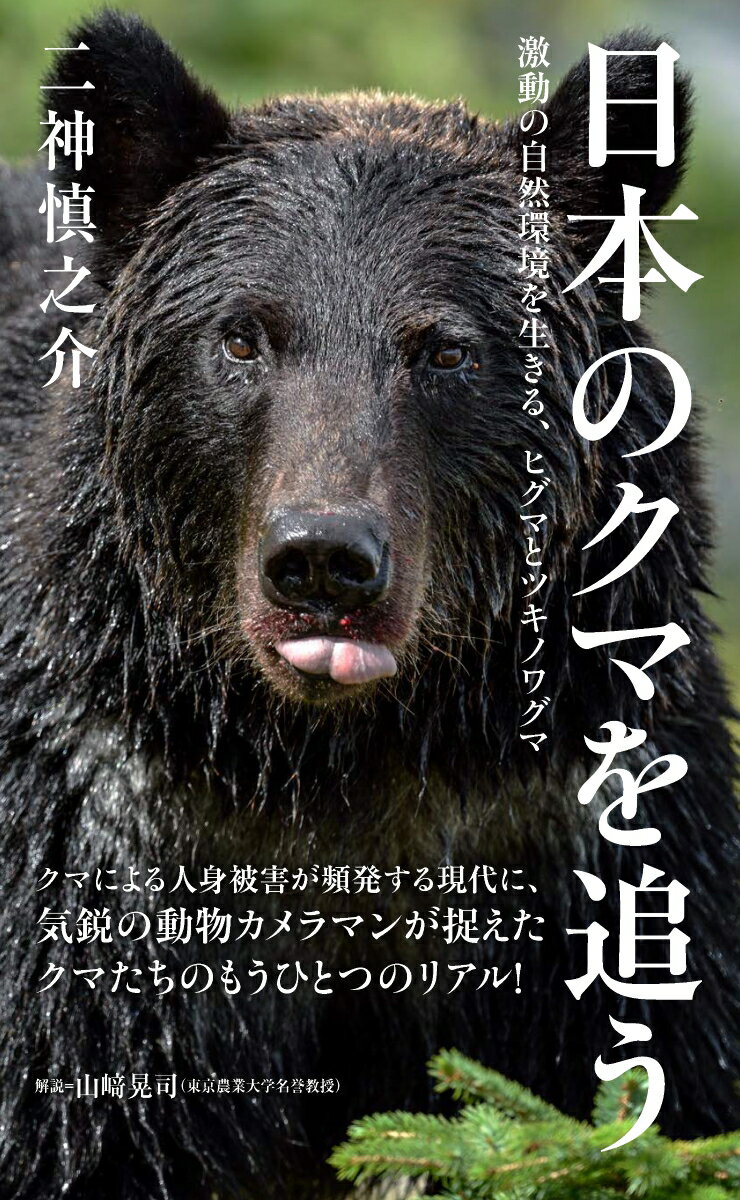 日本のクマを追う