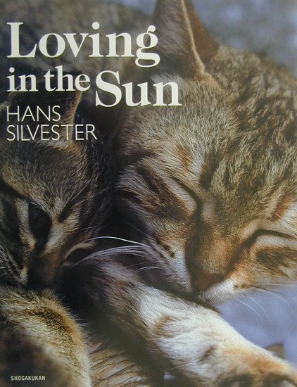 Loving　in　the　sun