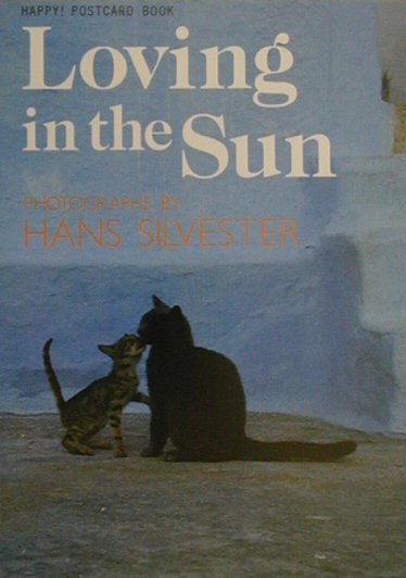 Loving　in　the　Sun