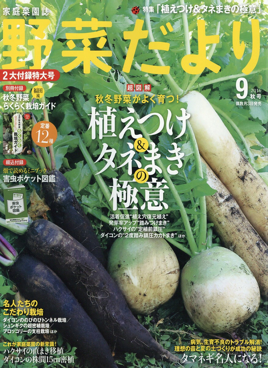 野菜だより 2016年 09月号 [雑誌]