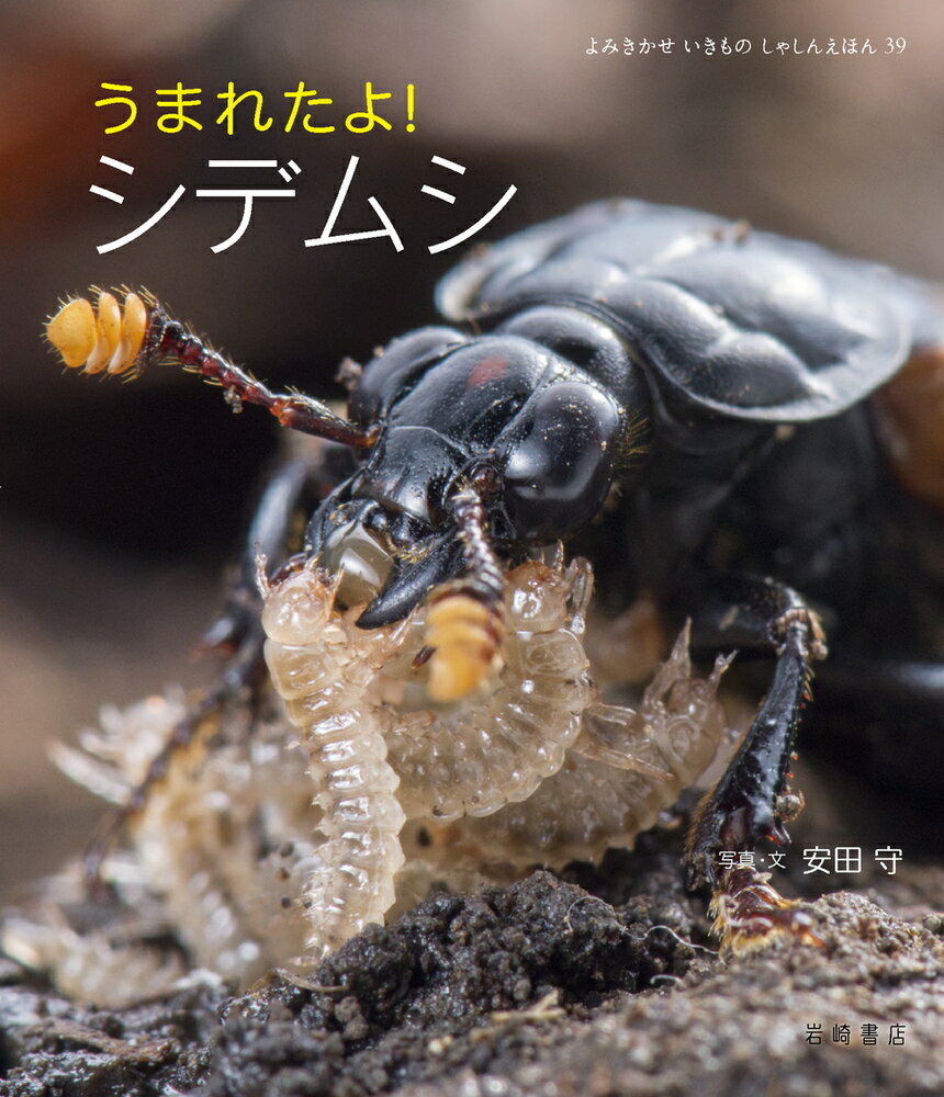 ���ޤ줿�衪�����ǥॷ