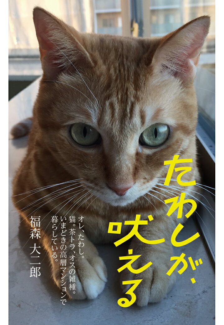 【POD】たわしが、吠える [ 福森大二郎 ]