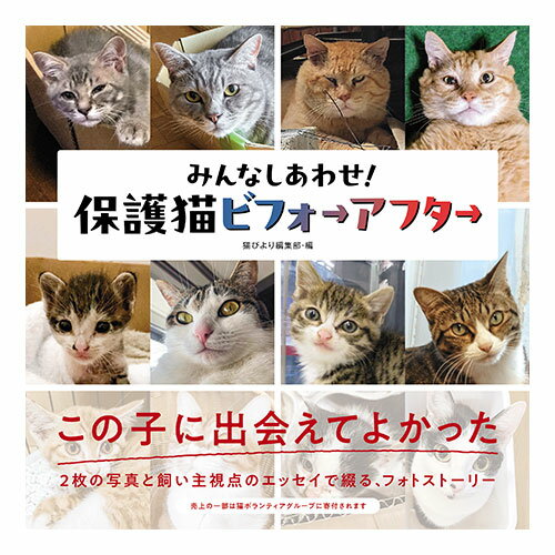 みんなしあわせ！ 保護猫ビフォーアフター