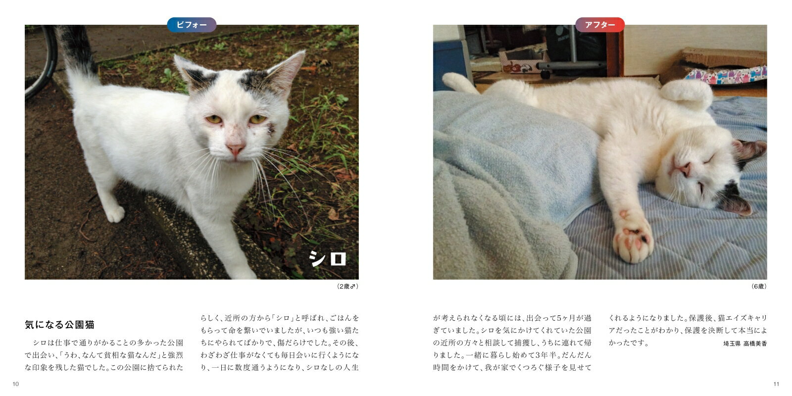 みんなしあわせ！ 保護猫ビフォーアフター [ 猫びより編集部 ] 3