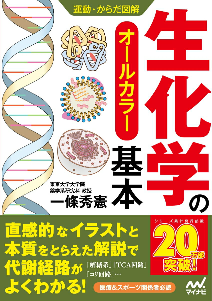 直感的なイラストと本質をとらえた解説で代謝経路がよくわかる！「解糖系」「ＴＣＡ回路」「コリ回路」…医療＆スポーツ関係者必読。