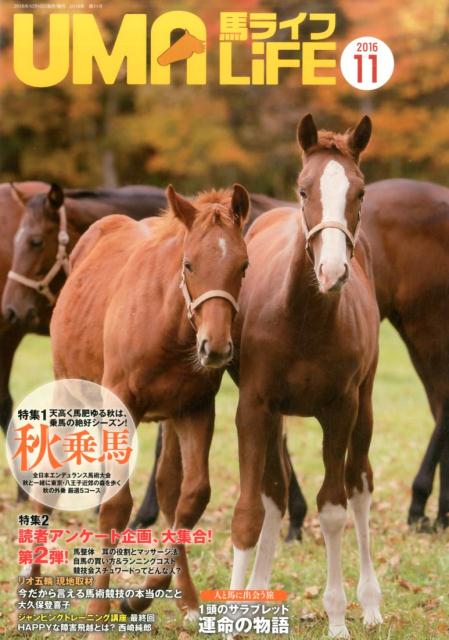 UMA LIFE 2016年第11号