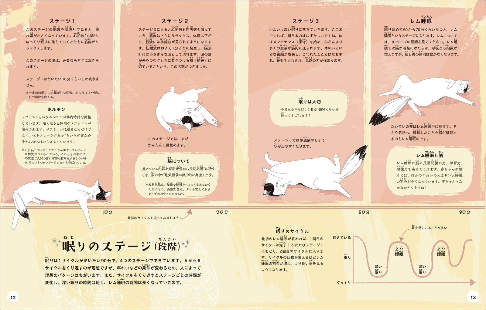 寝るのが楽しくなる 睡眠のひみつ [ ヴィッキ...の紹介画像3