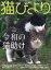 猫びより 2019年 09月号 [雑誌]