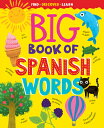 Big Book of Spanish Words BBO SPANISH WORDS （Find, Discover, Learn） 