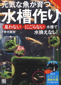 元気な魚が育つ水槽作り