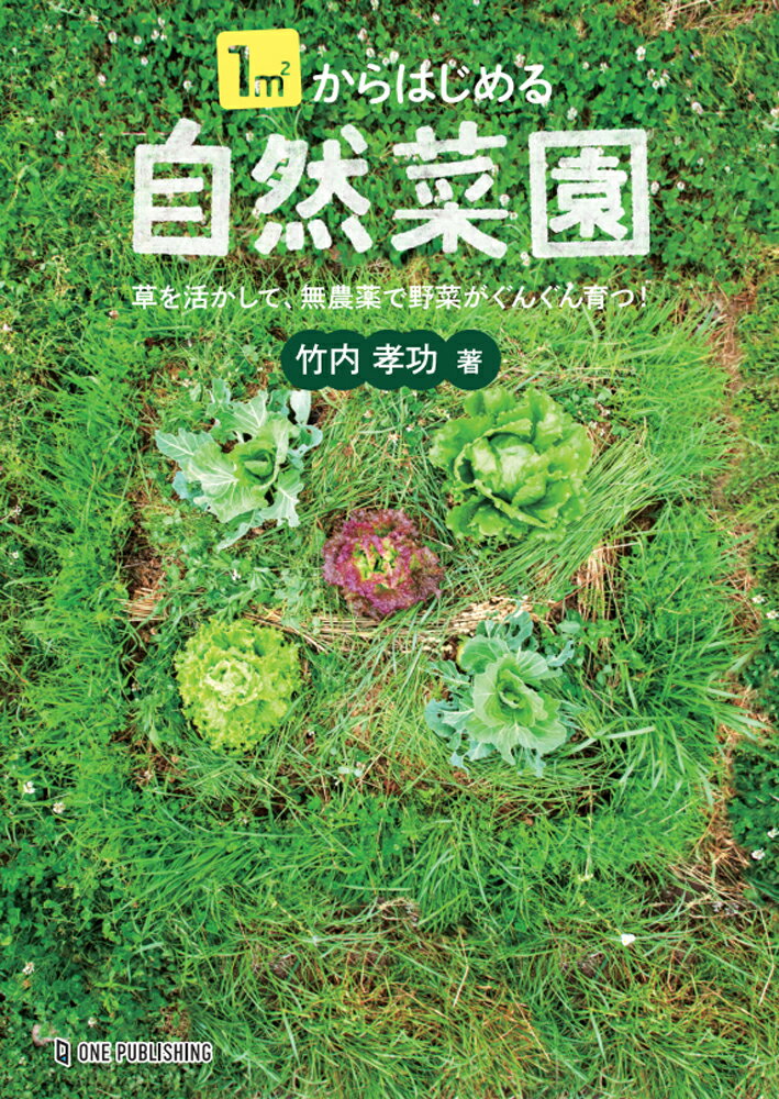 藤田智の新・野菜づくり大全／藤田智／NHK出版【1000円以上送料無料】