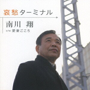 樂天商城 - 哀愁ターミナル c/w愛妻ごころ [ 南川翔 ]